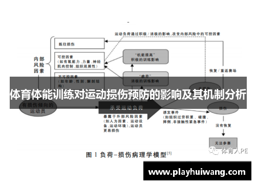 体育体能训练对运动损伤预防的影响及其机制分析